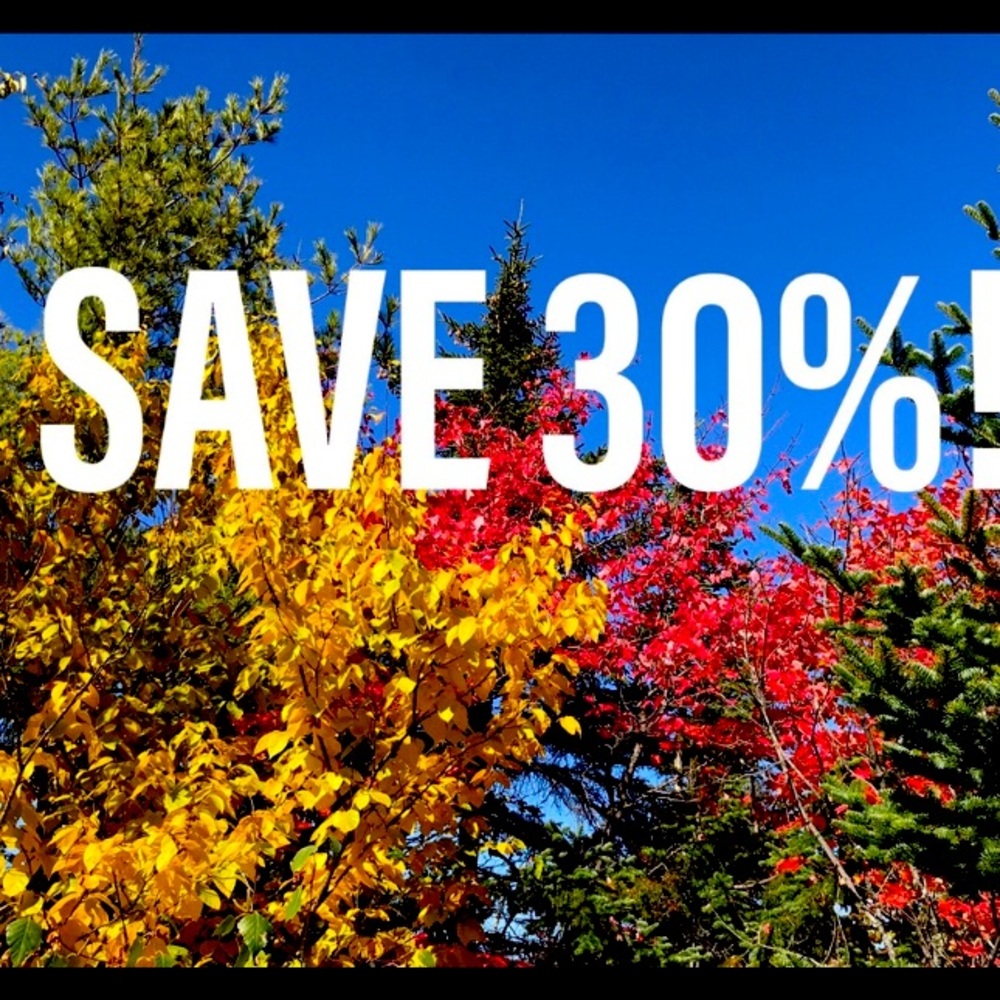 Bundle and Save 30% when you buy 7! 20% for 4; 10% for 3! My prices are low!